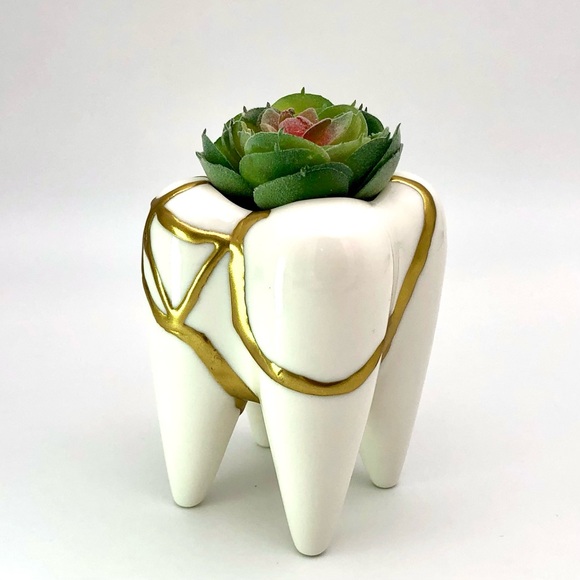 Kintsugi Planter Ceramic Tooth Gold Crack Dental Art Growth Gift Dentist - Picture 13 of 13